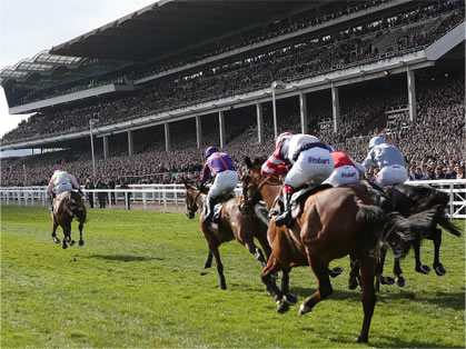 Cheltenham New Year Meeting Private Course Facing Grandstand Box