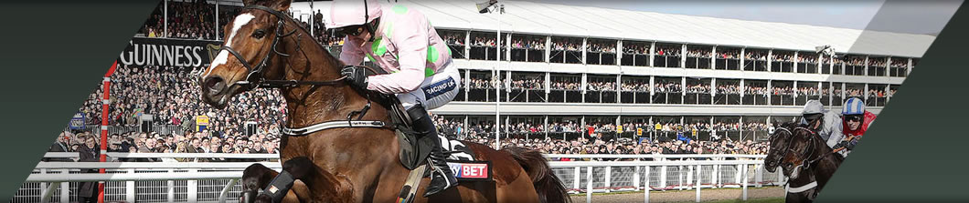 CHELTENHAM New Year’s Day Meeting HOSPITALITY PACKAGES (DECEMBER)