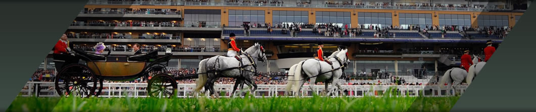 Other Horse Racing Hospitality Events